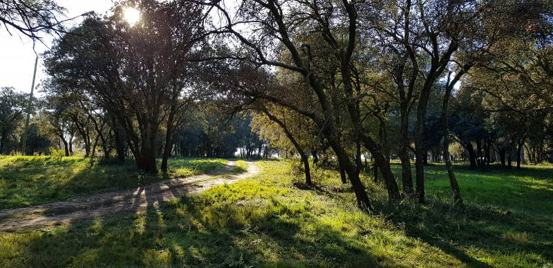 Parc boisé de 15 hectares pour les promenades autour de la Résidence Retraite proche de Bouc Bel Air