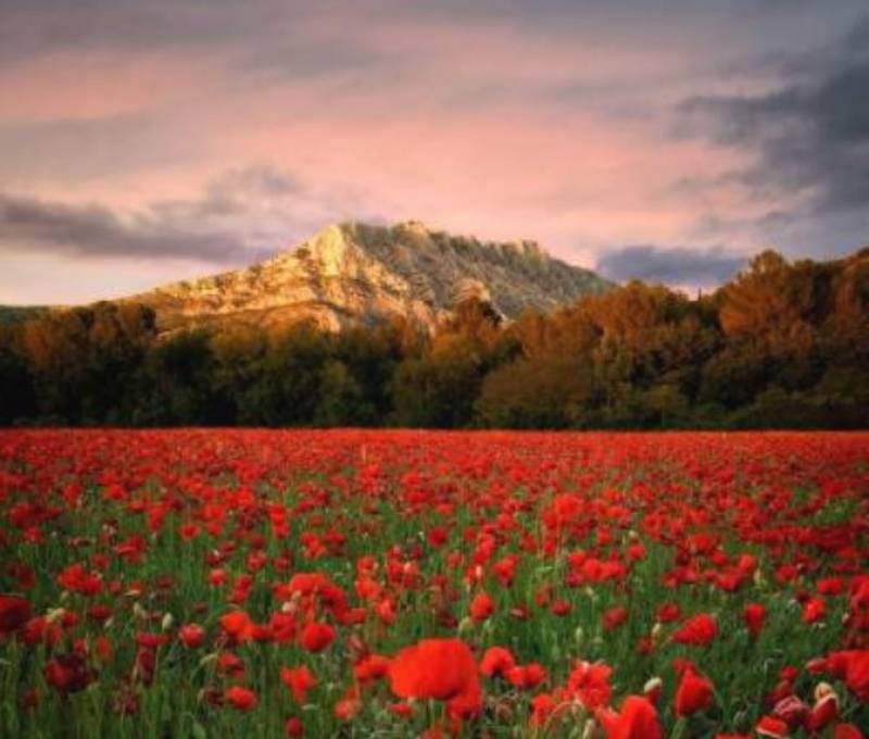 L'été dans notre maison de retraite près d'Aix en Provence