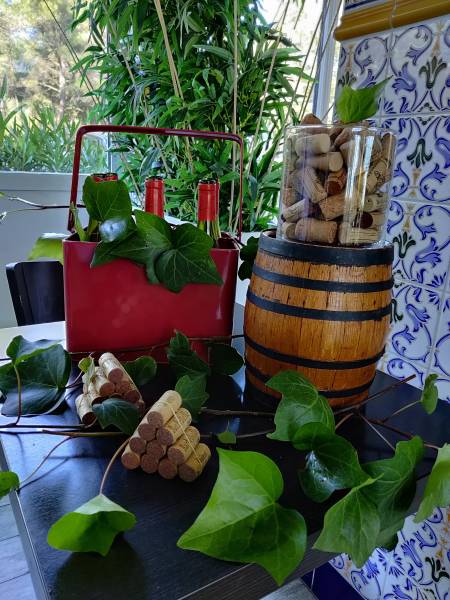 Maison de retraite avec animations à Aix-en-Provence